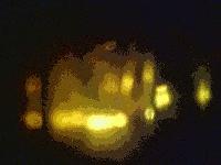 Picture for song 'Roses' by artist 'DraH Matic'