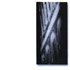 Picture for song 'Force of Dreaming' by artist 'Drawing Room'