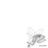 Picture for song 'allova' by artist 'Dreamchild'