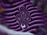 Picture for song 'Baby Cow Dance' by artist 'Dreamgirl Stephanie Ashlyn'