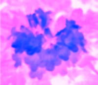 Picture for song 'Cleopatra's Big Belly' by artist 'Dreamgirl Stephanie Ashlyn'