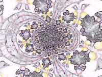 Picture for song 'Everynow' by artist 'Dreamgirl Stephanie Ashlyn'