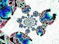 Picture for song 'Flying Turtle March' by artist 'Dreamgirl Stephanie Ashlyn'