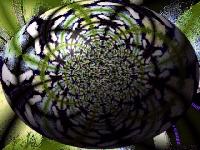 Picture for song 'Hexagon.' by artist 'Dreamgirl Stephanie Ashlyn'