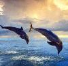 Picture for song 'Dream Of Happiness' by artist 'Dreamtales'