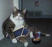 Picture for song 'Three Blind Mice' by artist 'D R Fencer'