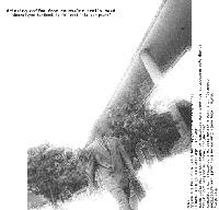 Picture for song 'sheba' by artist 'drinking coffee from counselor troi's head'