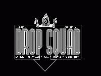Picture for song 'Mess U Up' by artist 'Drop Squad'