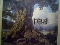 Picture for song 'SKINWALKERS' by artist 'DRUGLY'