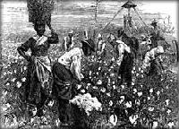 Picture for song 'Slave Song Medley' by artist 'Drunk and Disorderly'