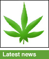 Picture for song 'FUNKY GREEN bi***' by artist 'DRUNKN MONKEY STYLE'