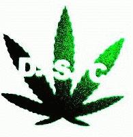 Picture for song 'Shokolat Don' Stop ("chocolate" album's intro)' by artist 'DSC (RU)'