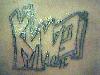 Picture for song 'No Lights(7/20/05)' by artist 'D-Teazy'
