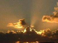 Picture for song 'homebrew' by artist 'dubmonkey'