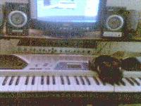Picture for song 'Grab Tha Gun' by artist 'Duce I Rae'