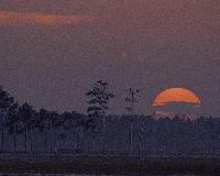 Picture for song 'Sorry / Oceanside (Live 9th Jan '04)' by artist 'Duma UK'