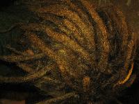 Picture for song 'MacondaAurelianoBuendiaStory' by artist 'Dunai'