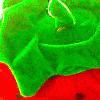 Picture for song 'frutilla' by artist 'duque de baru'
