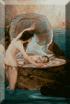 Picture for song '" ON TWO WORDS "' by artist 'DUSTY WEST'