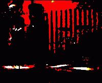 cover pic