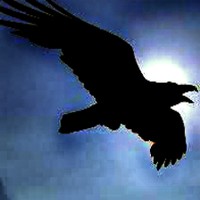 Picture for song 'The Fright Bird' by artist 'Oddger'