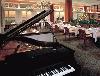 Picture for song 'Movement for Oboe & Piano' by artist 'Dylan Patrick Smith'