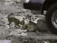 Picture for song 'DJ Mladen - Waiting For Death' by artist 'Dynamik Productions 2004'