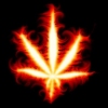 Picture for song 'DZK & Fatal Wisdom - Black Dawn' by artist 'DZK'