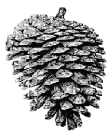 Picture for song 'Up And Down' by artist 'earcodes'