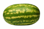 Picture for song 'Watermelon Collie' by artist 'Eargasmic'