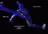 Picture for song 'Split-2B' by artist 'Earthvomit'