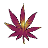 Picture for song 'Let Me Hold You' by artist 'EaStSideCelebrKitiES'