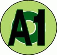 Picture for song '4 aj' by artist 'easy reason'