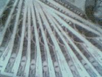 Picture for song 'Big Fellas Diss' by artist 'Eazie919'