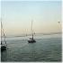 Picture for song 'By The Ocean' by artist 'Ed Colton'
