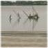 Picture for song 'My Merengue (Is Better Than Yours)' by artist 'Ed Colton'