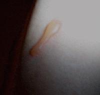 Picture for song 'Thrust' by artist 'Edisoncos'