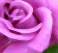 Picture for song 'Mom' by artist 'EditEd4TV'