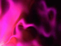 Picture for song 'The Bottom Line' by artist 'EditEd4TV'