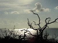 Picture for song 'Will' by artist 'EditEd4TV'