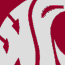 Picture for song 'GO COUGS' by artist 'E Drid'