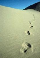 Picture for song '07 Barrier (Part II)' by artist 'Edward Monett'