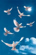 Picture for song 'When I Was Innocent (Free)' by artist 'EERF'