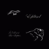 Picture for song 'Egomaniacal' by artist 'Efiltsol'