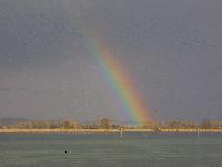 Picture for song 'Though It's Raining (Vocal Version)' by artist 'efkay'