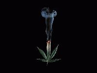 Picture for song 'The Streets Finest' by artist 'Eightb8LL'