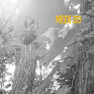 Picture for song 'Medi 20' by artist 'Eizi Hirahara'