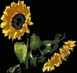 Picture for song 'Beyond the Obvious' by artist 'ejgh'