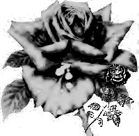 Picture for song 'Spoken Heart' by artist 'ejgh'
