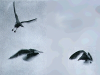 Picture for song 'World Unknown' by artist 'ejgh'